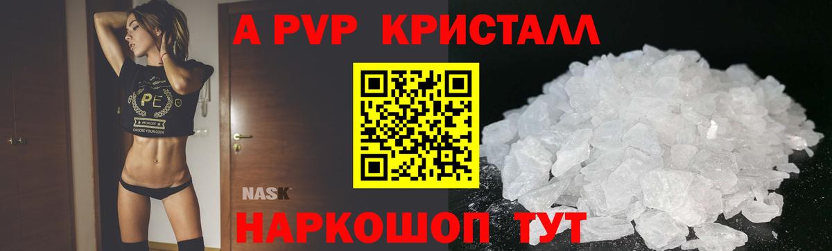 Alfa_PVP СК КРИС Гудермес