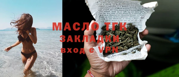 индика Саяногорск
