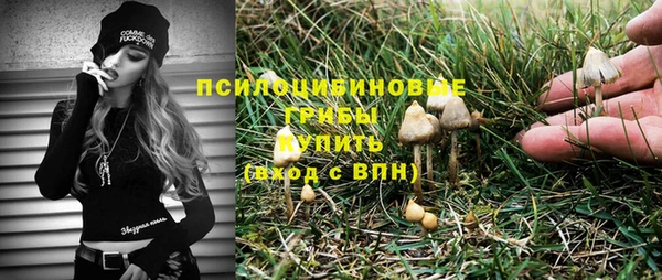 винт Богородицк