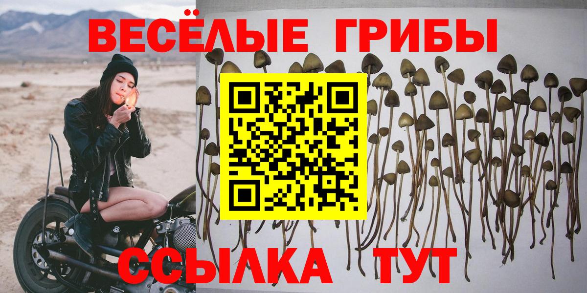купить наркотики сайты  Галлюциногенные грибы ЛСД  Вход с VPN  Гудермес 